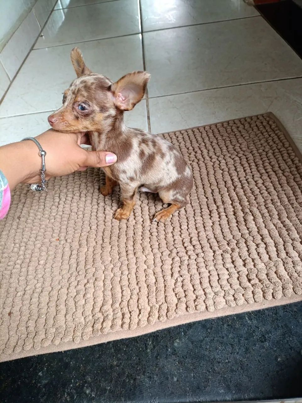 Machinho Zero exótico  - Foto 5