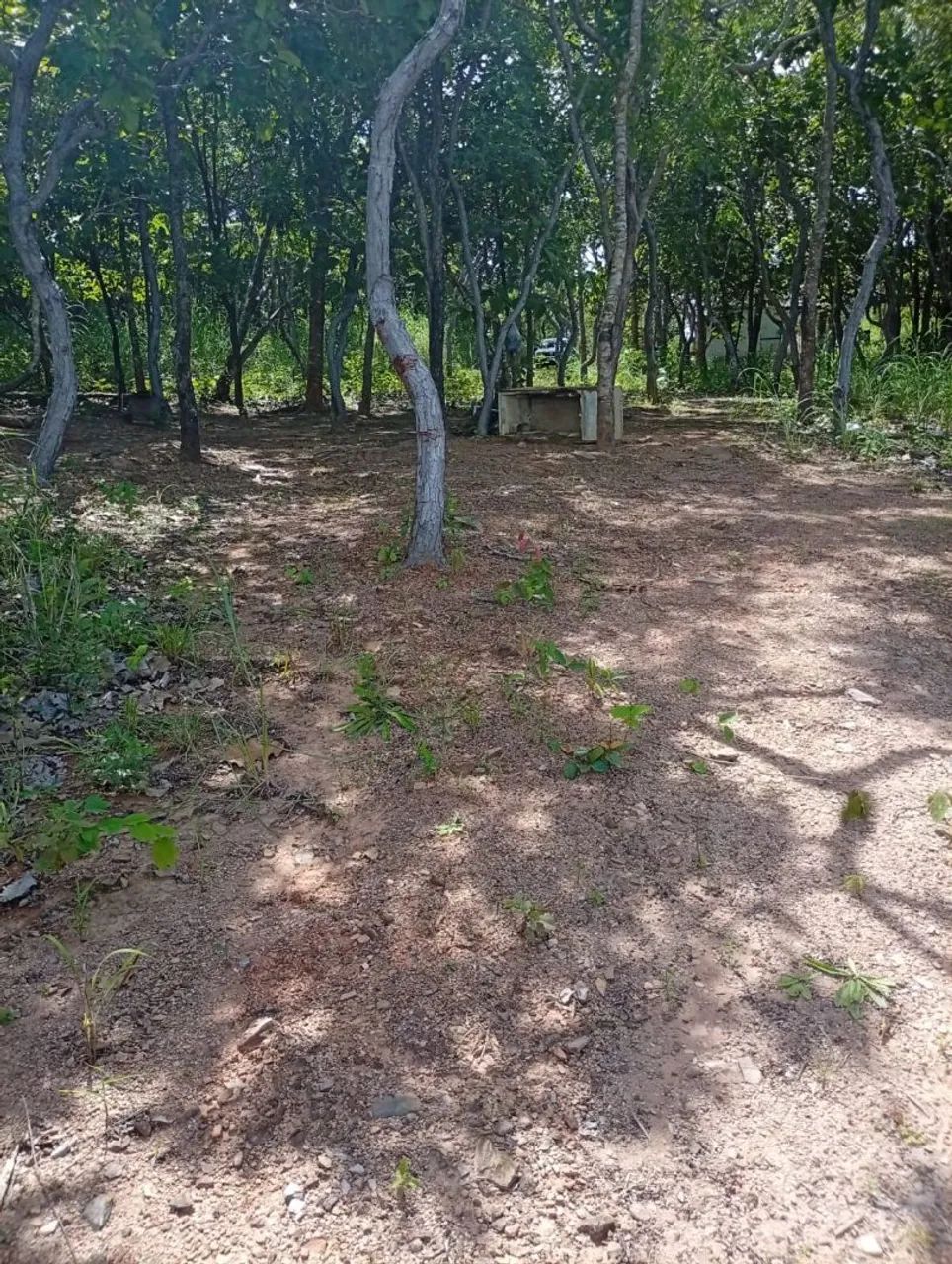 Chácara na beira do lago do manso  - Foto 2