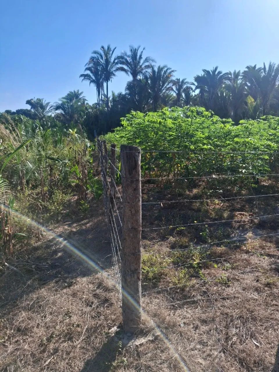 Terreno 20x60 m²  Valor Negociável, aceitamos troca em moto. Pov Campestre Norte. - Foto 3