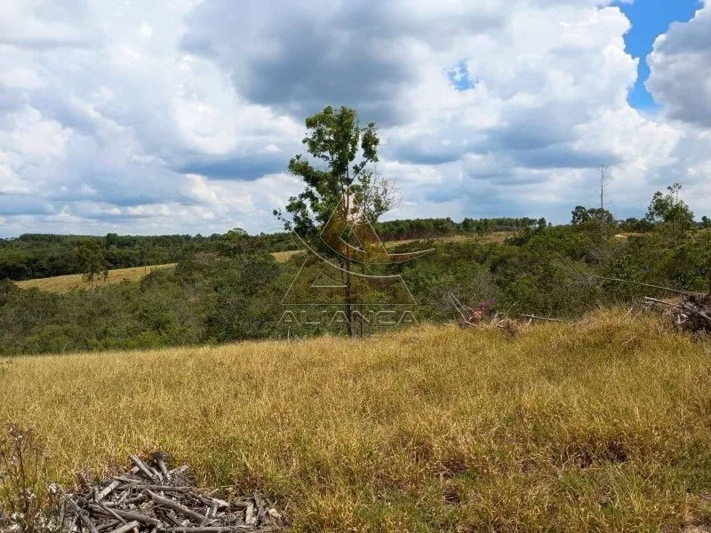 Fazenda - Arcos - Zona Rural - Foto 5