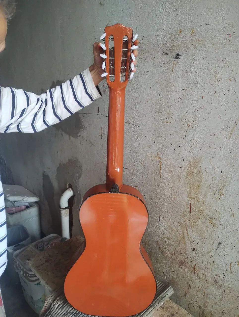Viola  - Foto 2