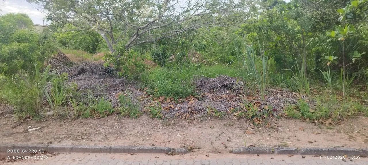 Foto - Armação dos Búzios - Caravelas