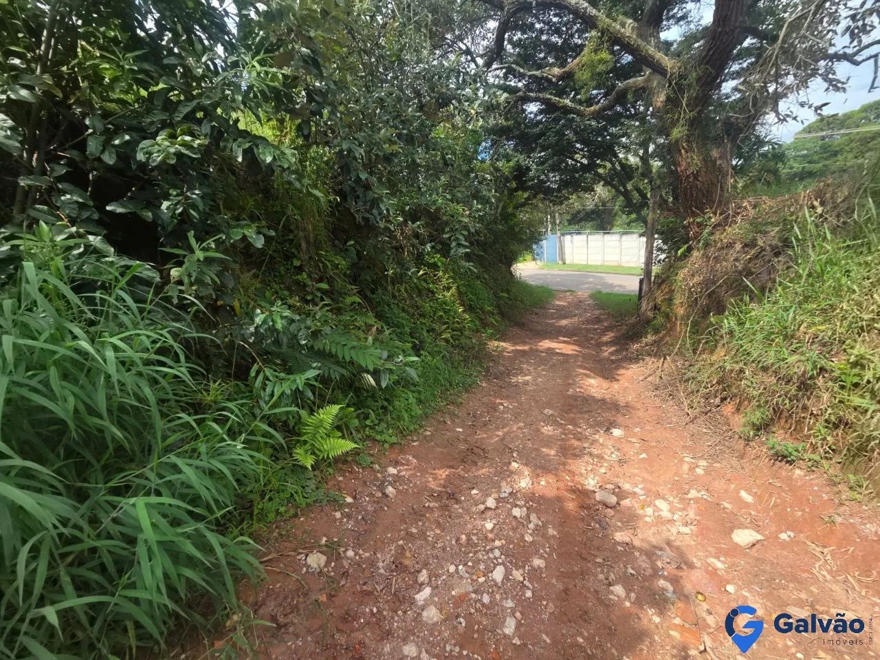 Sítio à venda no Bairro Caxambu em Jundiaí - SP - Foto 4
