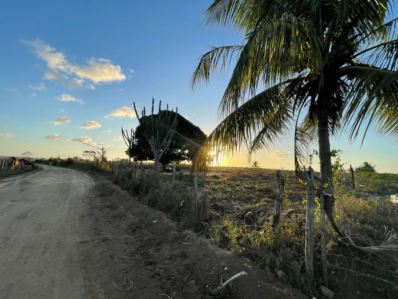 TERRENO NO POVOADO TOMBO/ SALGADO 17 TAREFAS  - Foto 2