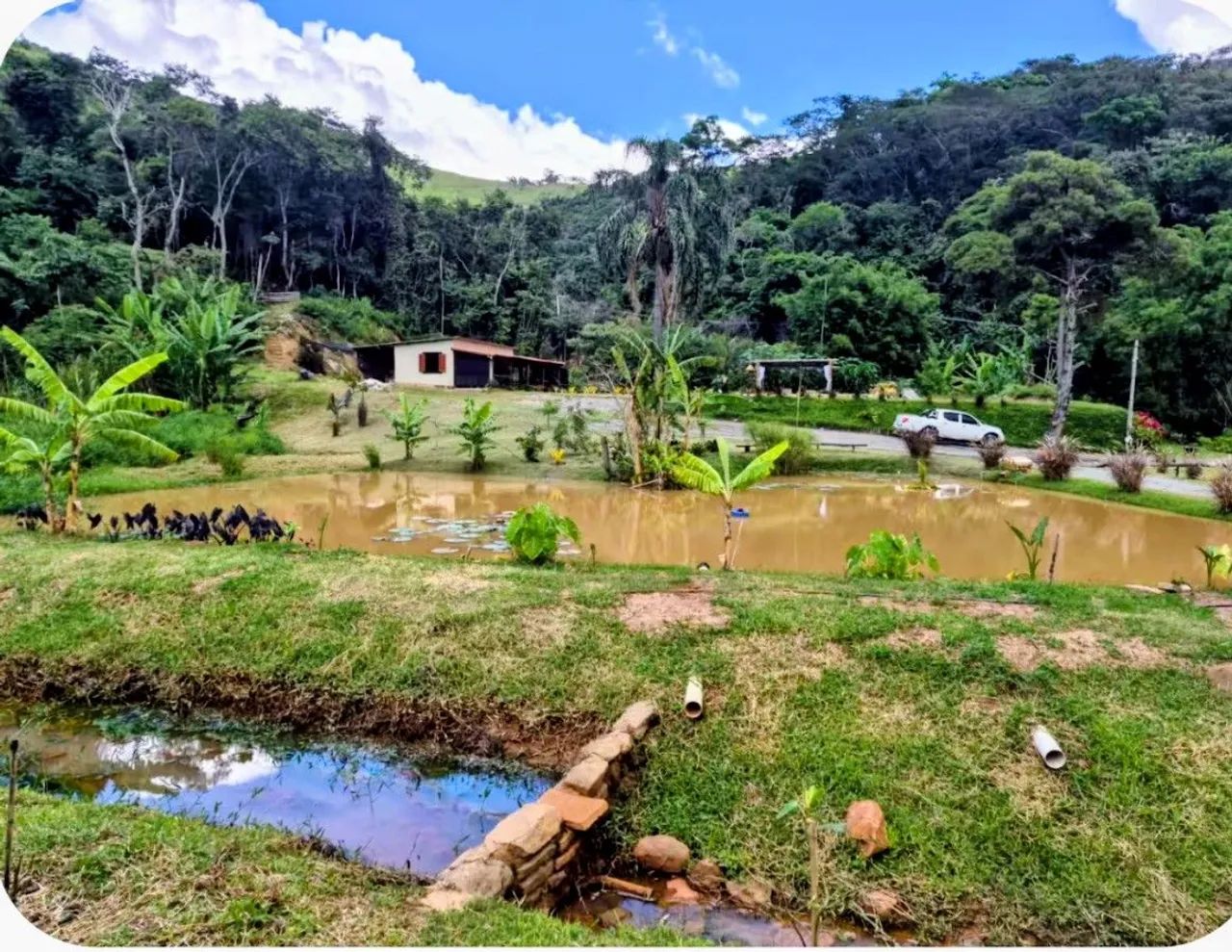 Lindo Sitio c água corrente entre Vale das Videiras e Pati de Alferes  - Foto 11