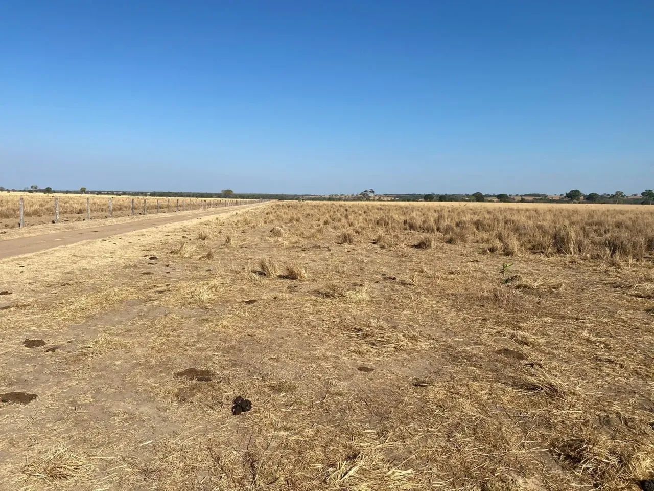 Fazenda a venda em  - Araguaçu - Tocantins - Foto 2