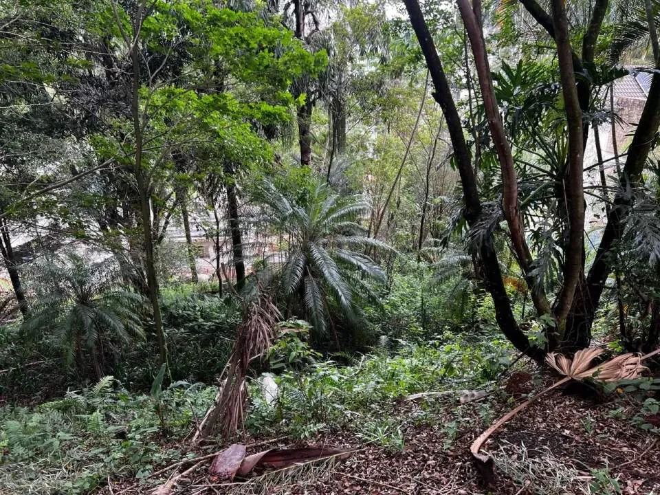 Terreno em Condomínio para Venda em Barueri, Residencial Tamboré - Foto 5