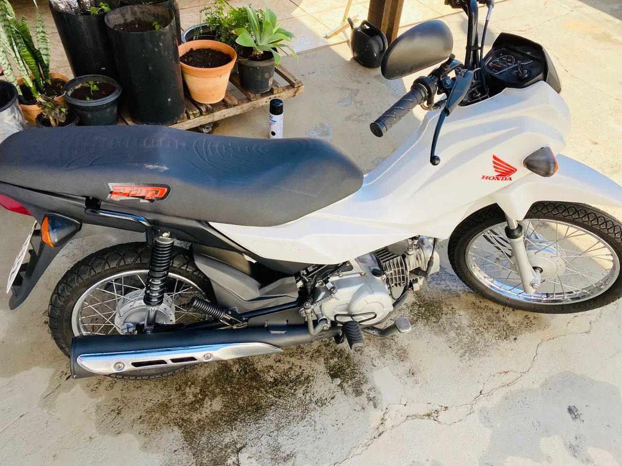 Honda Pop 2023 - Foto 2