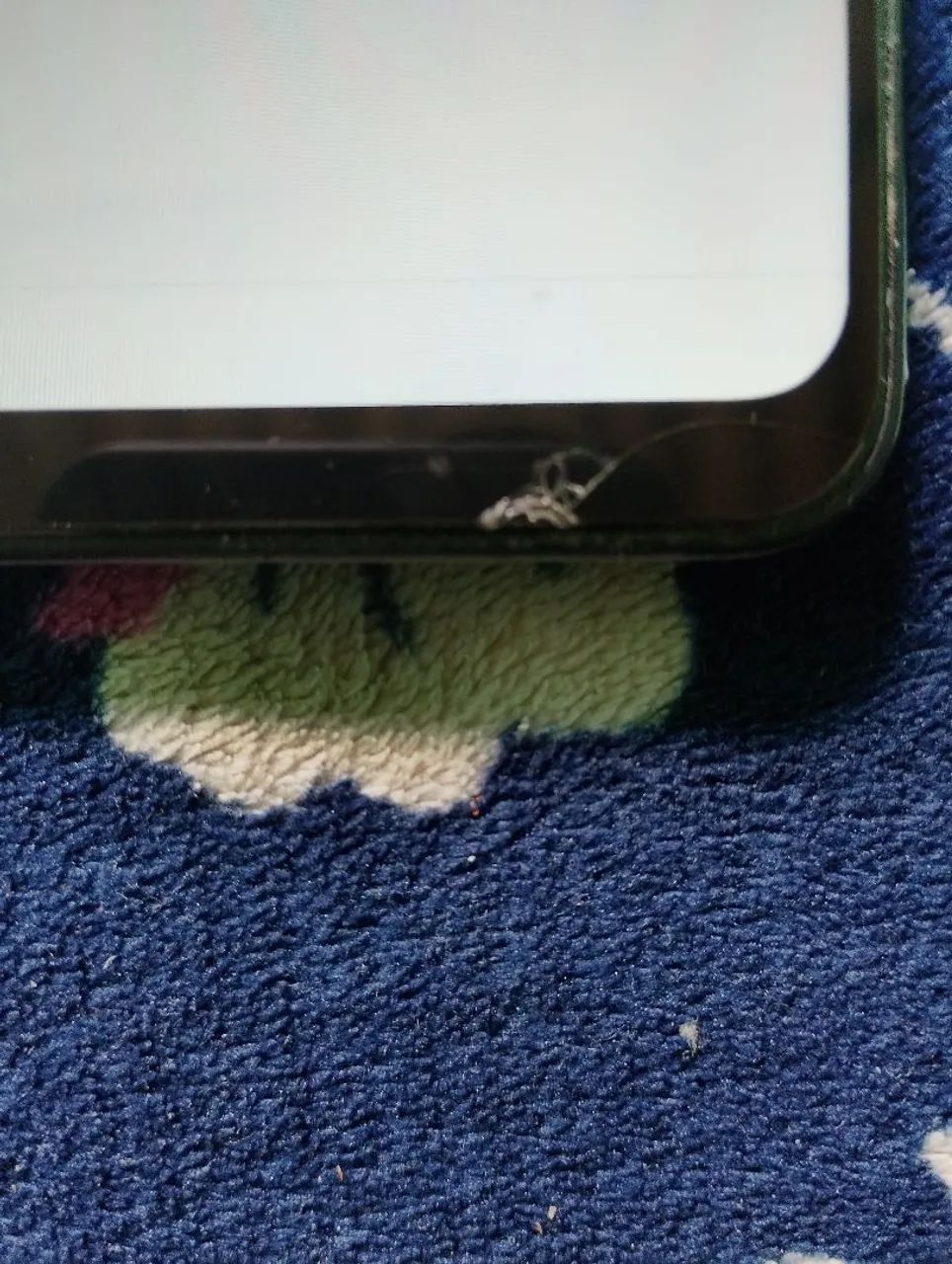 Celular - Foto 2