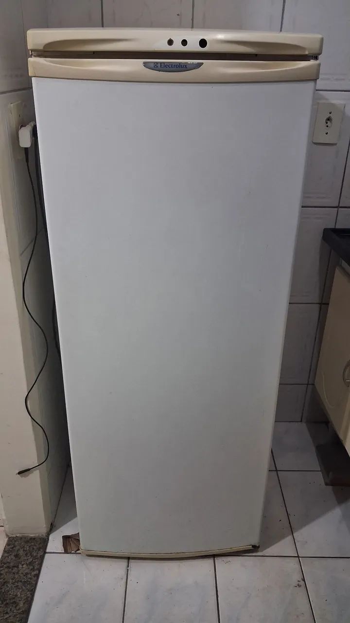 Electrolux R250 