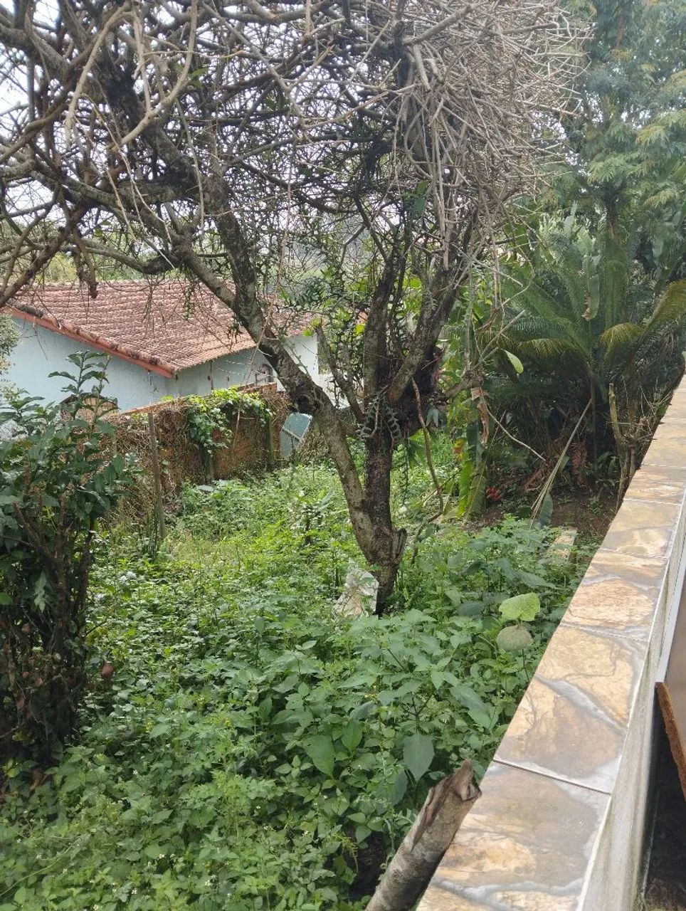 Vende  - Foto 4