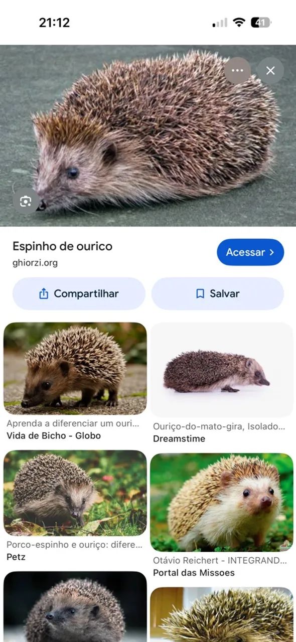 Aksjnsjs