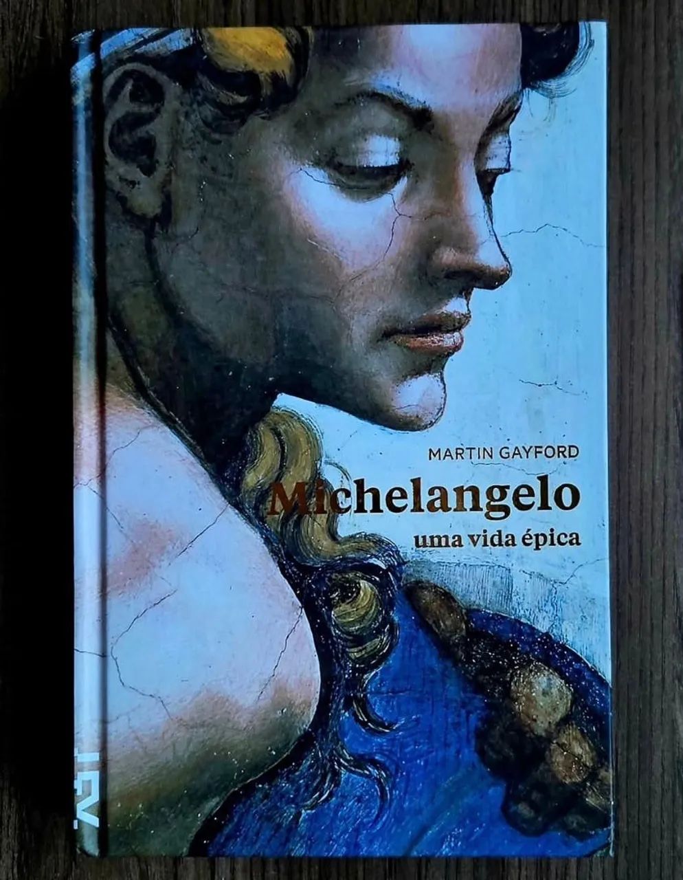 Livro Michelângelo 