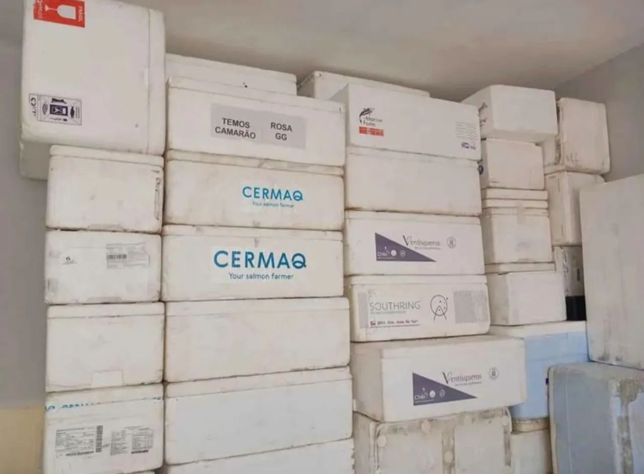 CAIXAS DE ISOPOR