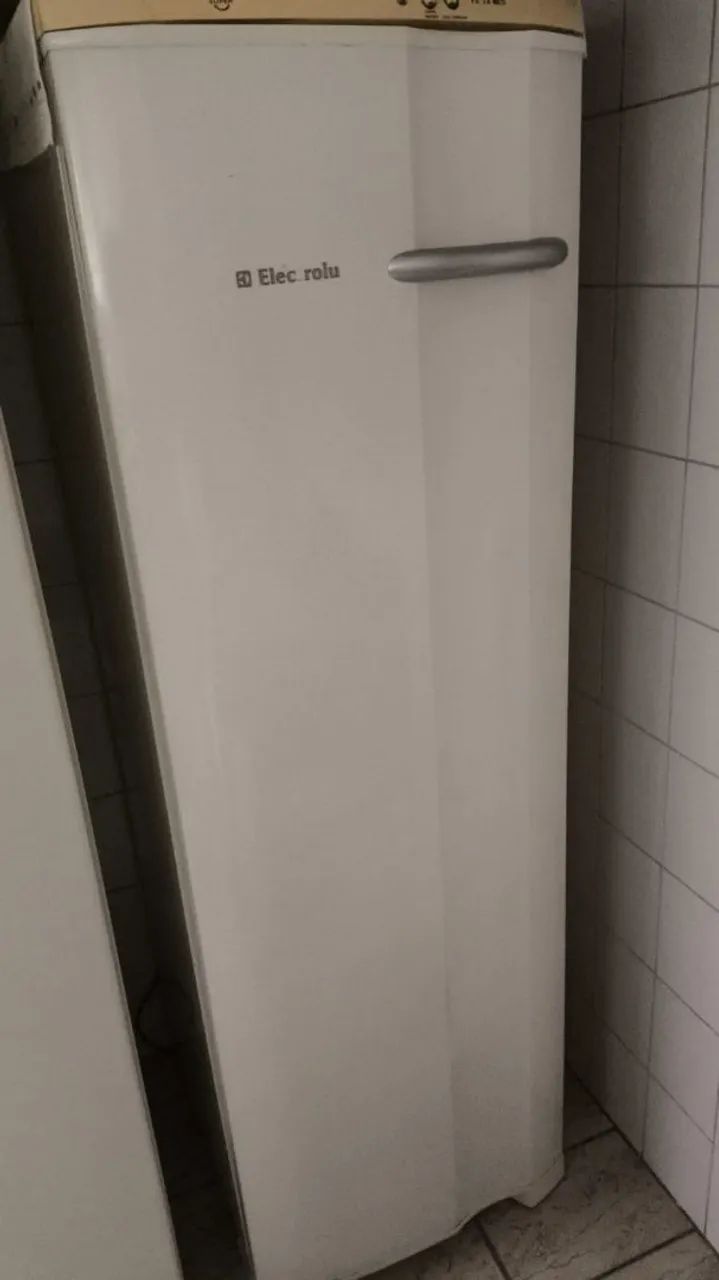 Freezer Electrolux 