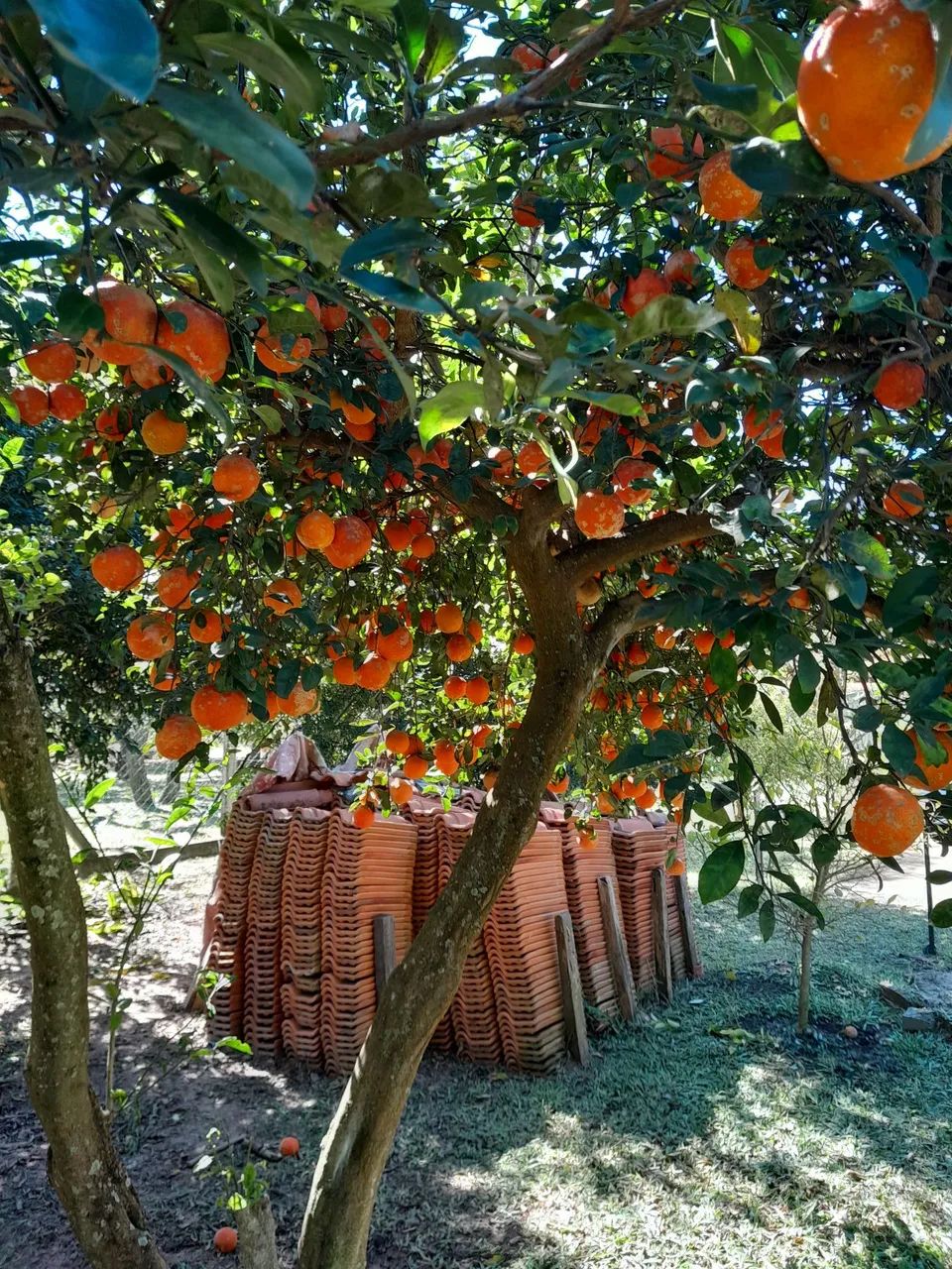 Chácara Alvorada da Barra - Botucatu SP - Foto 2