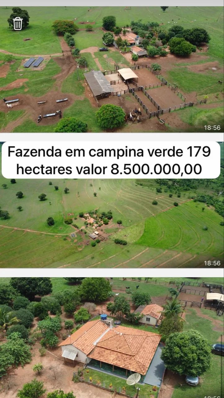 Fazenda dupla aptidão campina verde  - Foto 3