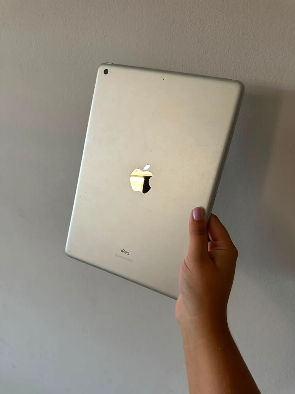 Vendo IPad seminovo 