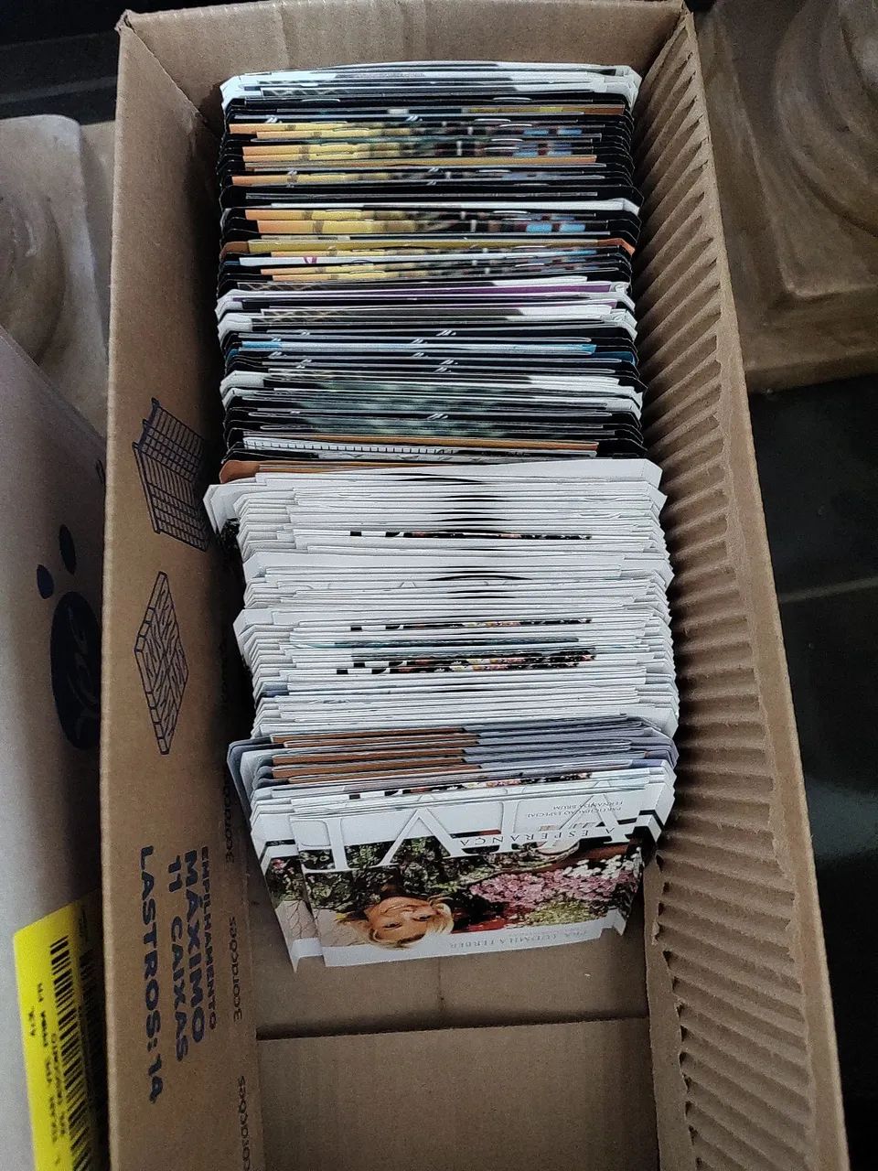 Lote de CDs evangélicos 