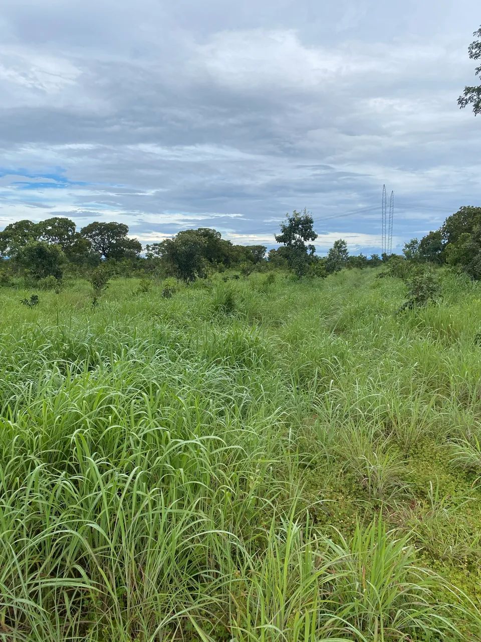 Chácara em colinas do Sul Goiás