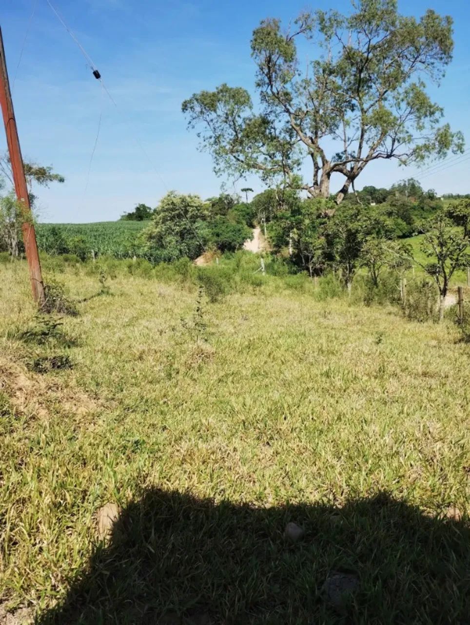 Sitio - Foto 5
