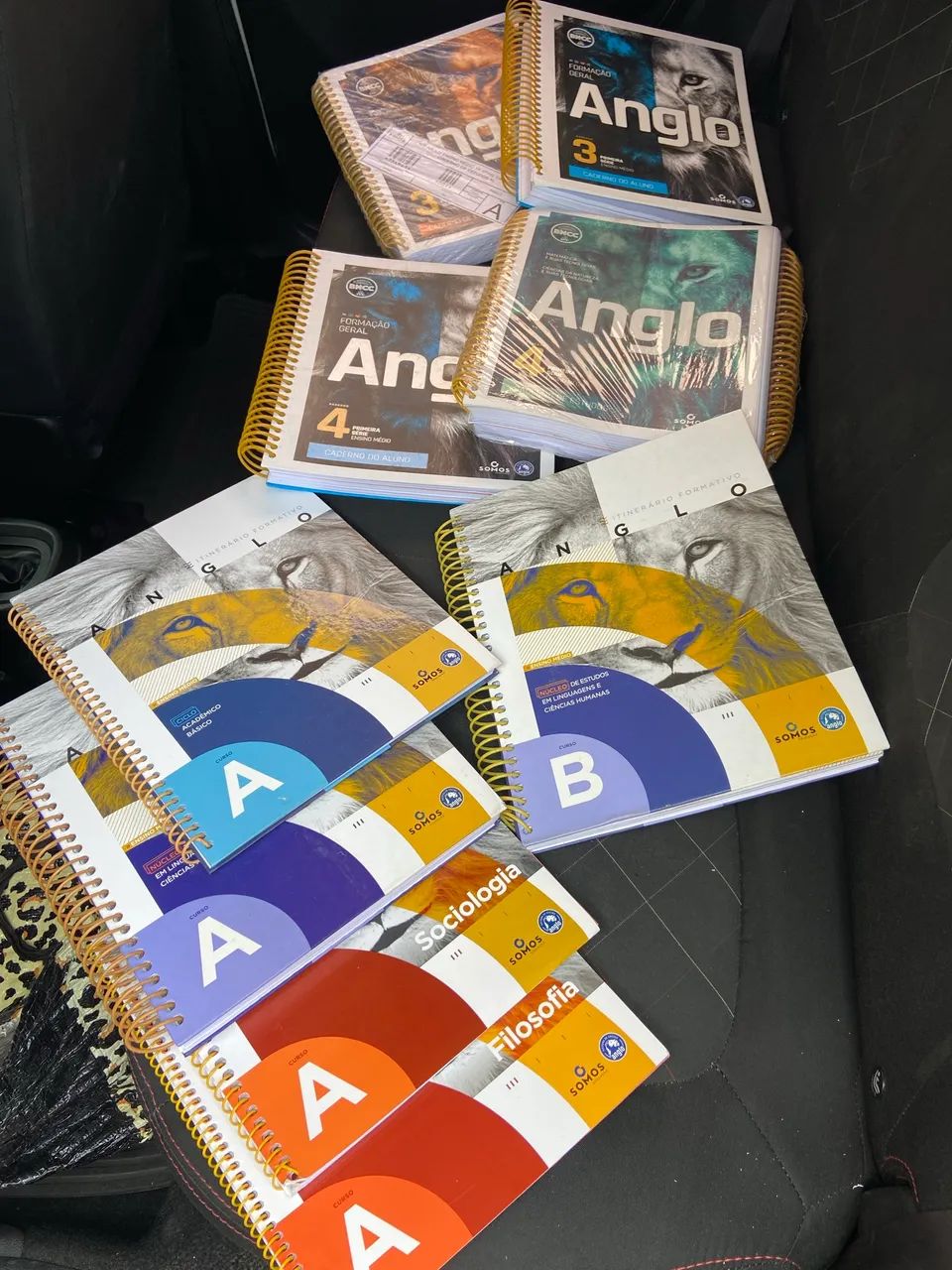 Livros Novos Anglo Ensino médio  - Foto 5