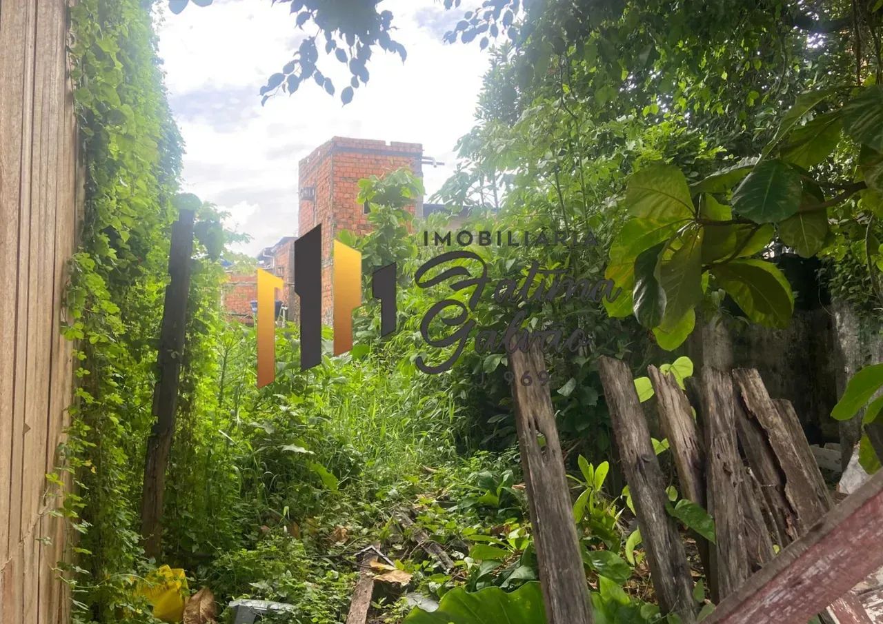 Vendo Terreno na Cremação - Foto 4