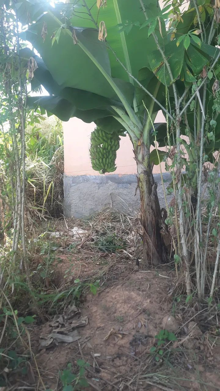 Rancho  - Foto 2