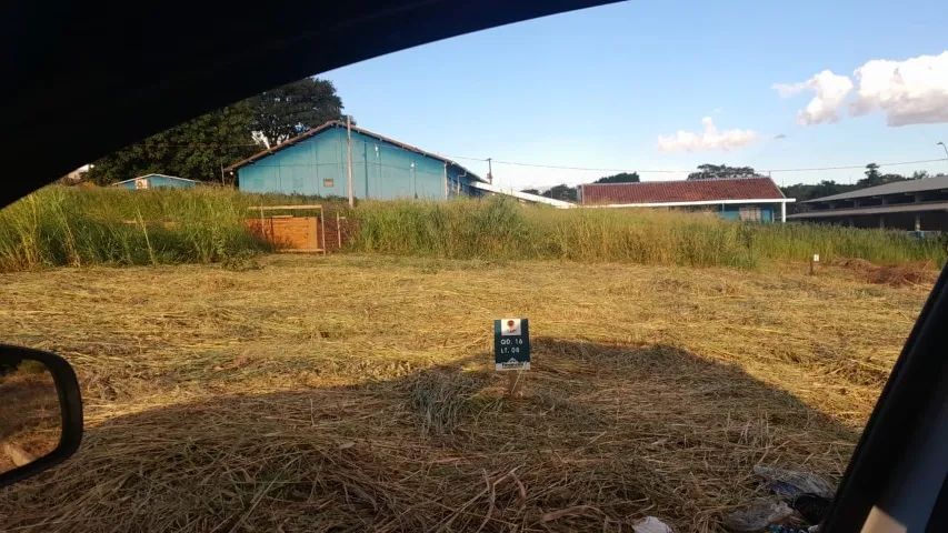 Terreno 250 m² - região Coronel Antonino - Foto 3