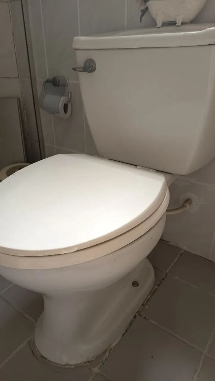 Vaso sanitário com caixa acoplada e tampa com fixação em inox  - Foto 2
