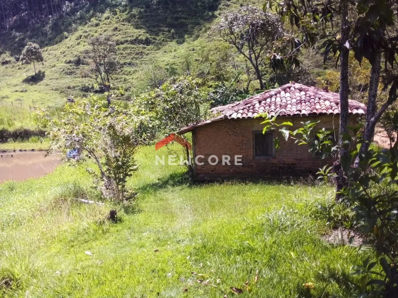 Sítio em Redenção da Serra - Centro - Redenção da Serra/SP - Foto 4