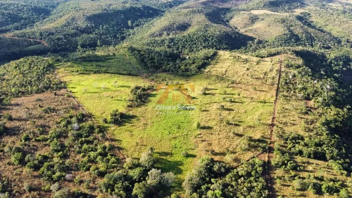 Fazenda com 10 Alqueires na Zona Rural de Palmas - Sentido Lajeado á 45 km do Centro - Foto 4