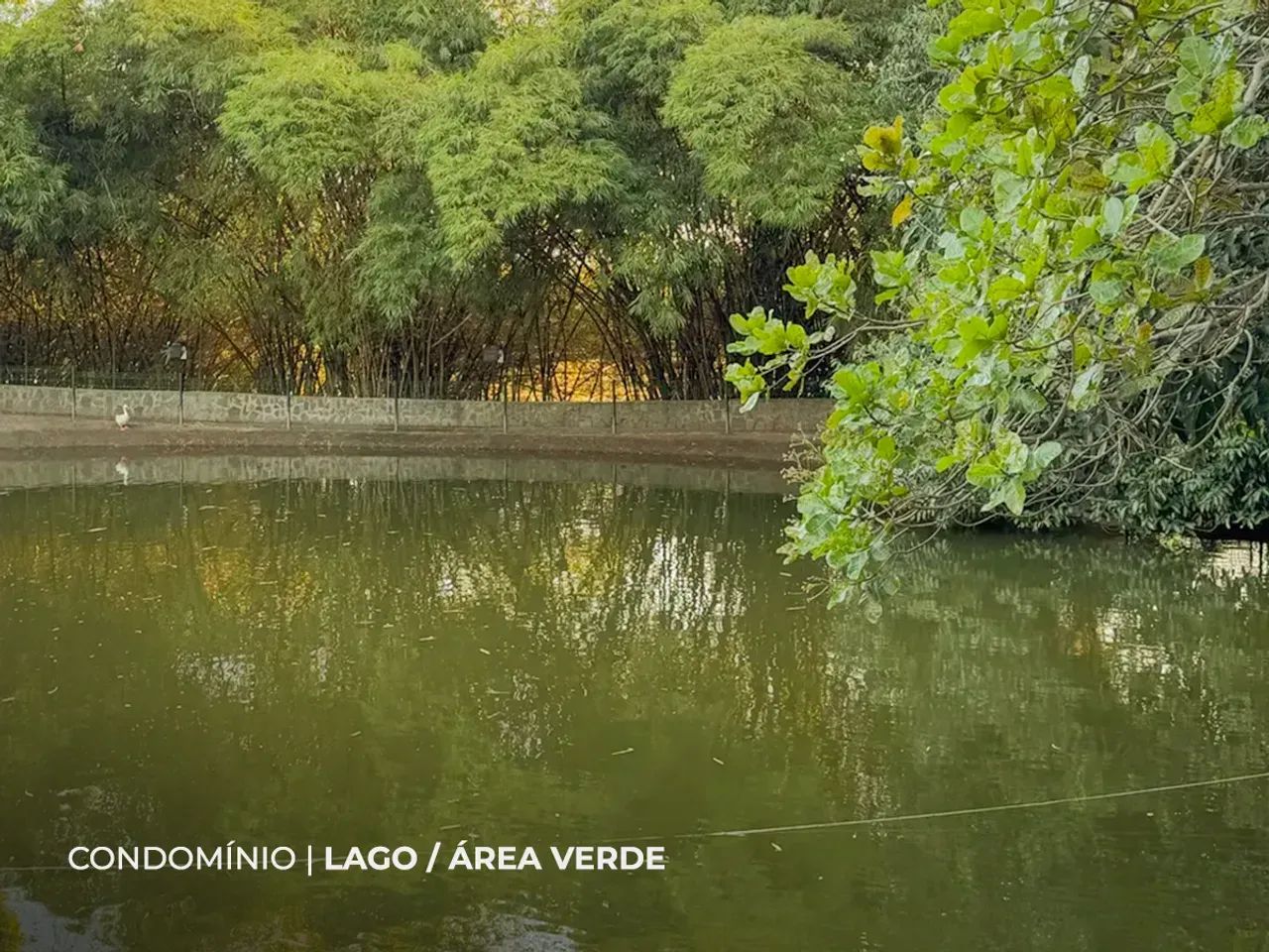 Imóvel para aluguel tem 204 metros quadrados com 3 quartos em Centro - Lagoa Seca - PB - Foto 5