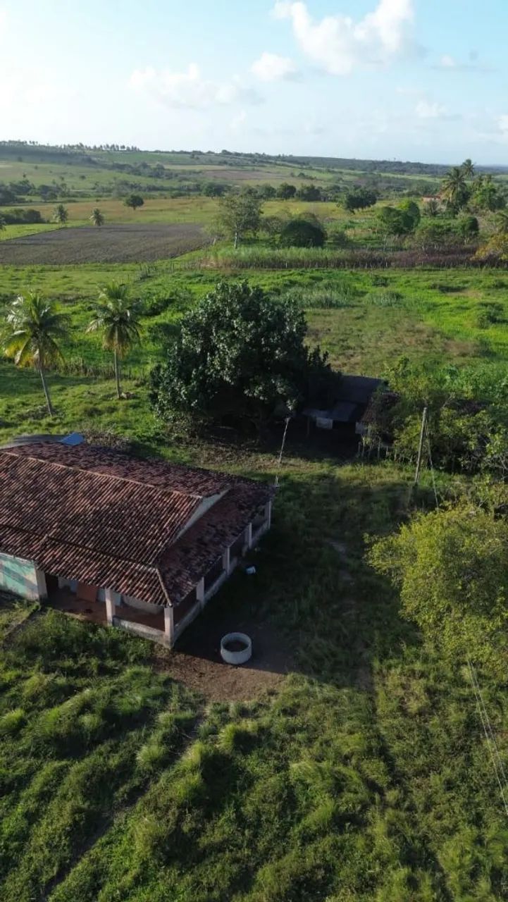 Granja de jadson da pamonha - Foto 4