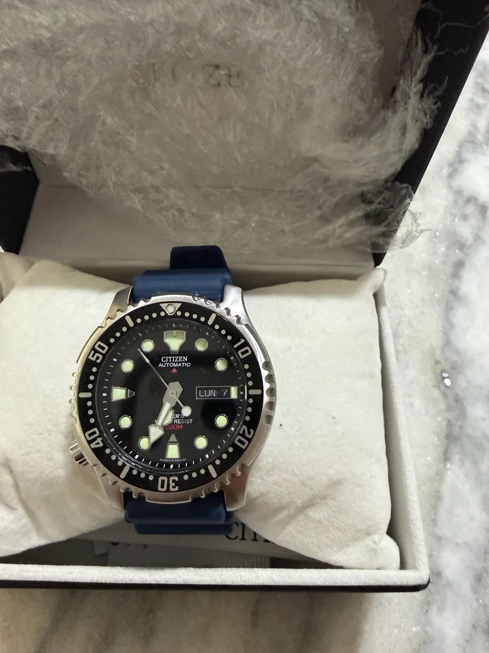 Citizen Promaster