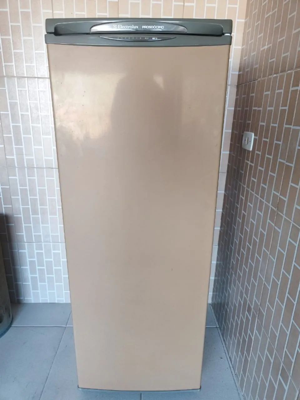 Freezer Electrolux Prosdócimo F21 210 lts