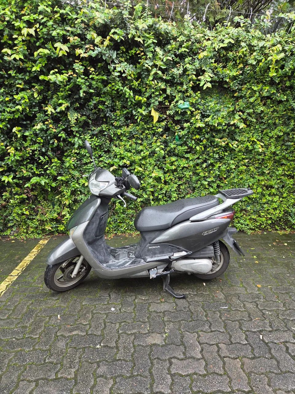 Honda Lead 110