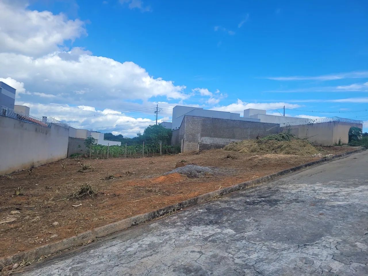 Lote - Foto 4