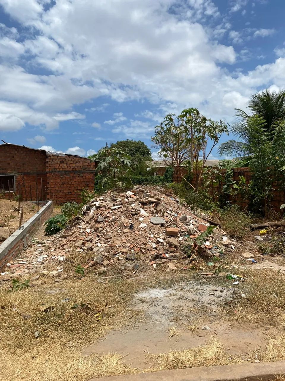 TERRENO NA MATA  - Foto 2