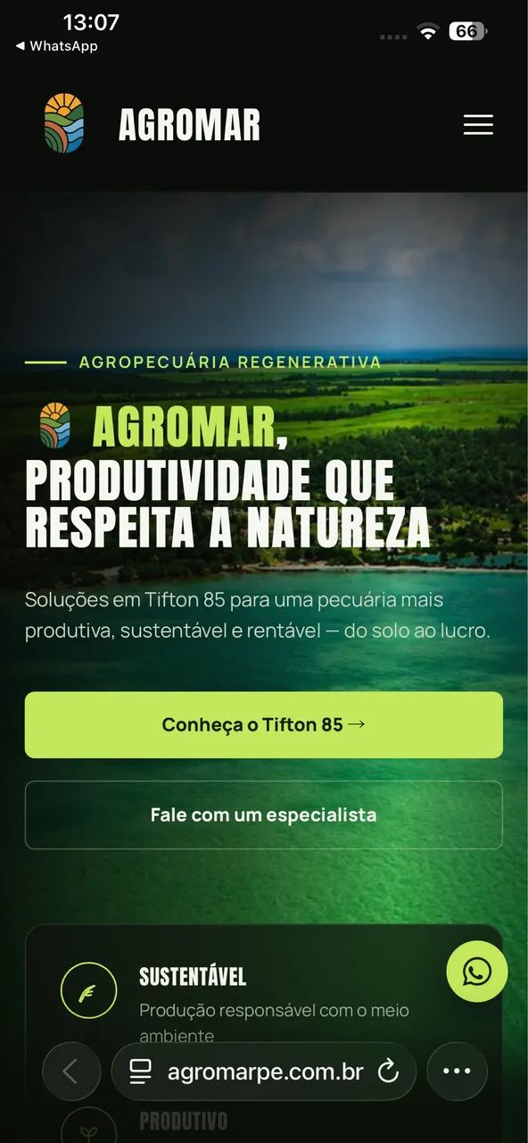 FENO DE CAPIM TIFTON 85 - Foto 3