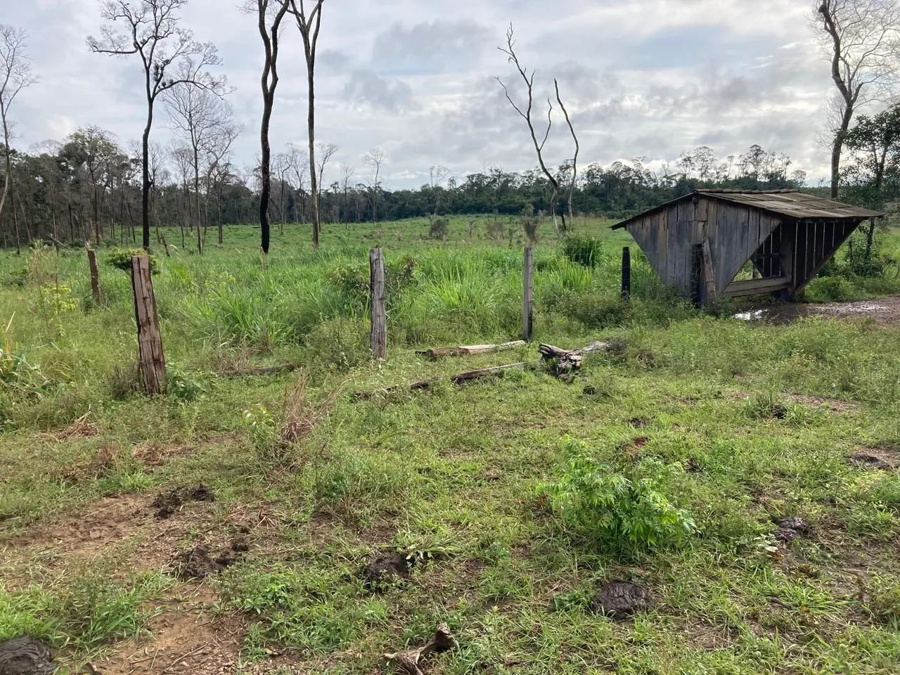  FAZENDA À VENDA ? IRACEMA/RR<br> - Foto 4