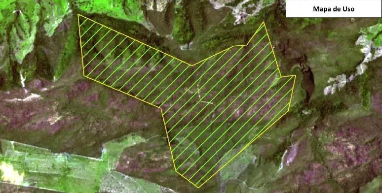 Fazenda Bebedouro | Baliza/GO - 387,20 ha