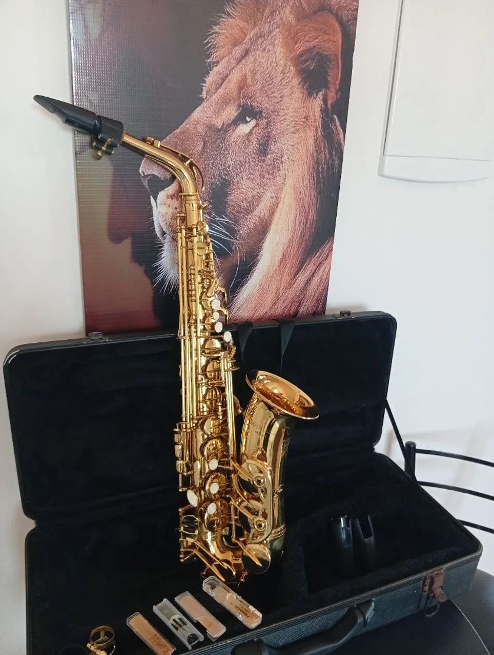 Saxofone Alto - Foto 2