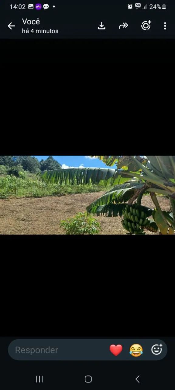 Vendo chácara em Antônio Carlos-MG  - Foto 5