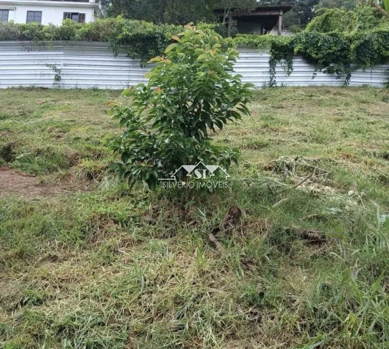 Terreno- Petrópolis, Nogueira - Foto 2