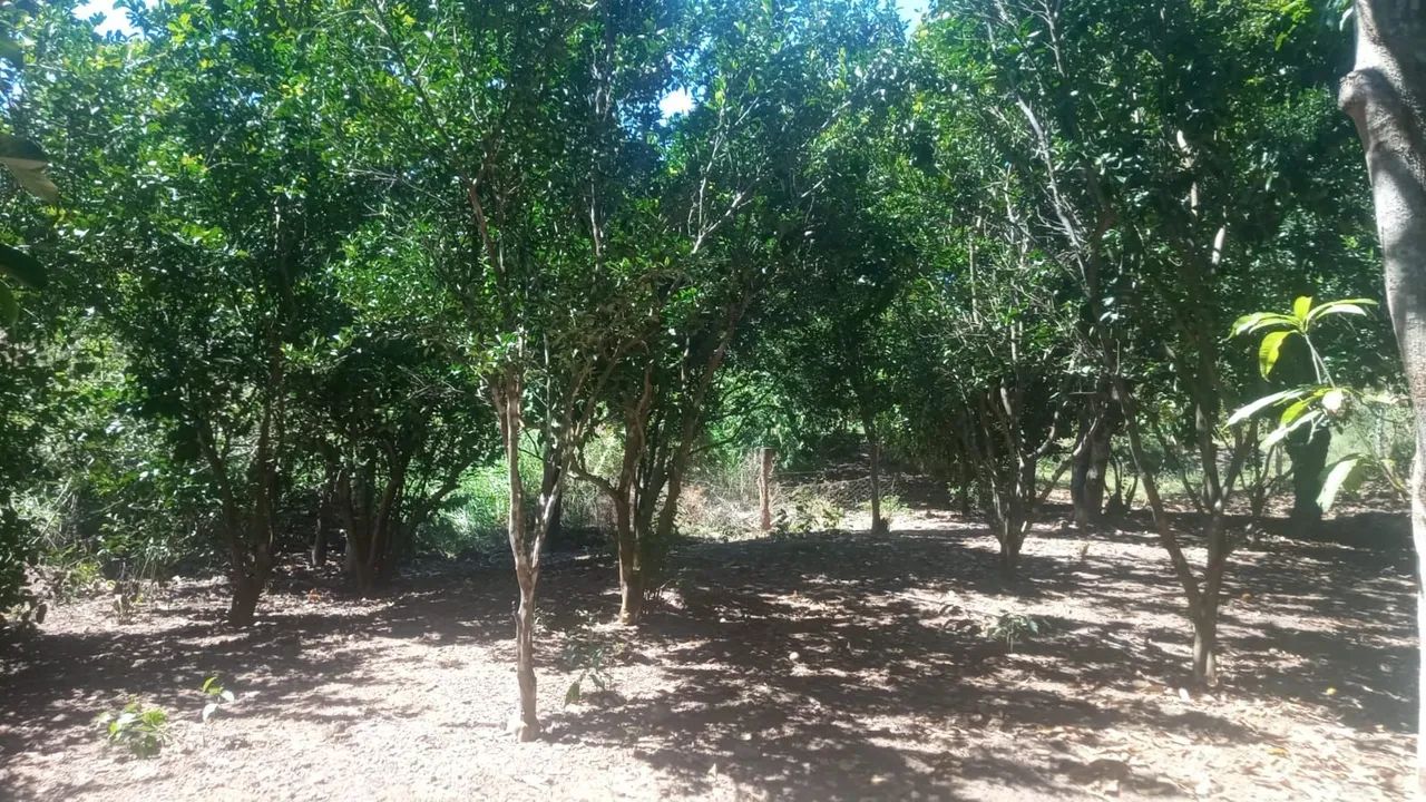 Chácara a venda  - Foto 4