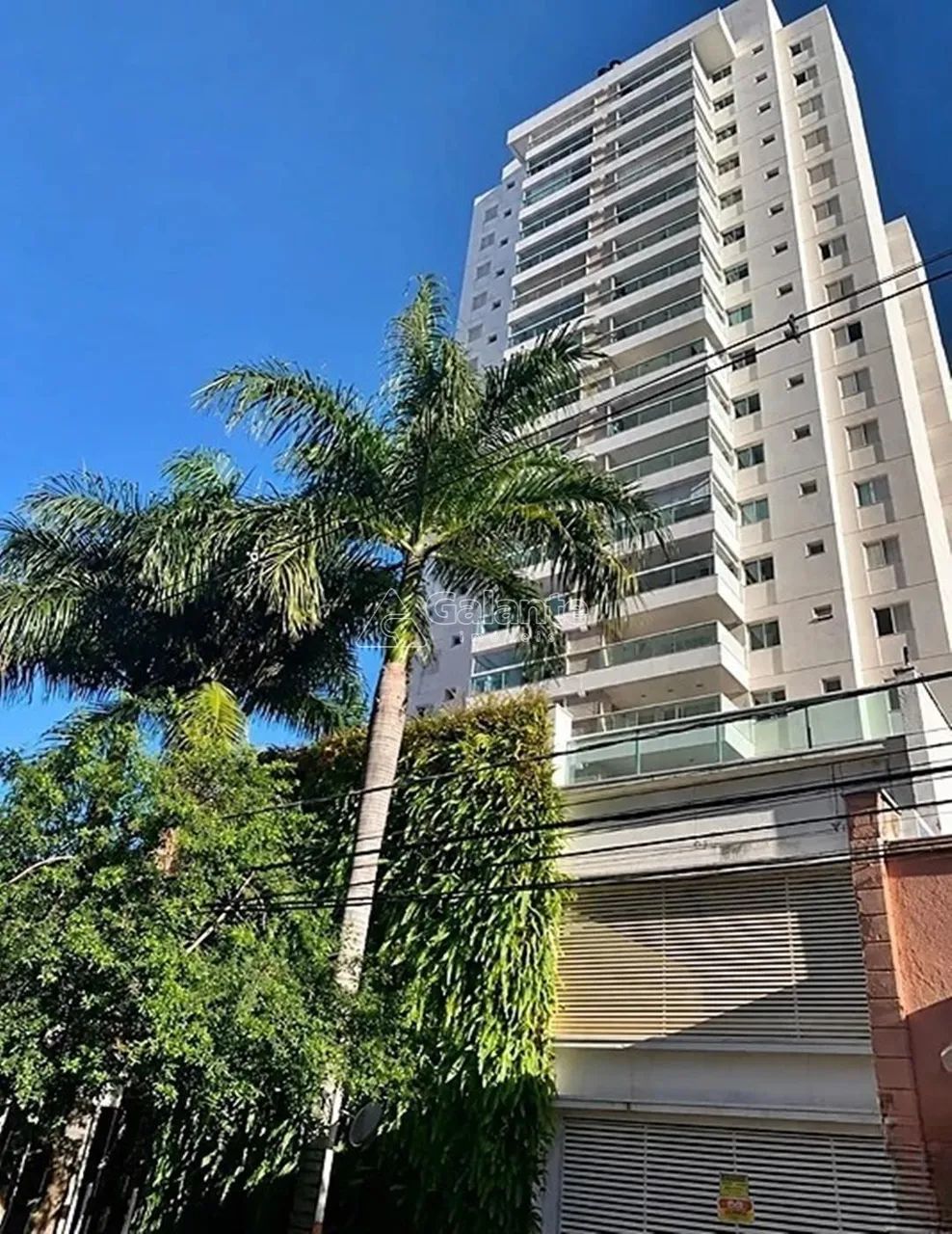 apartamento - Centro - Campinas