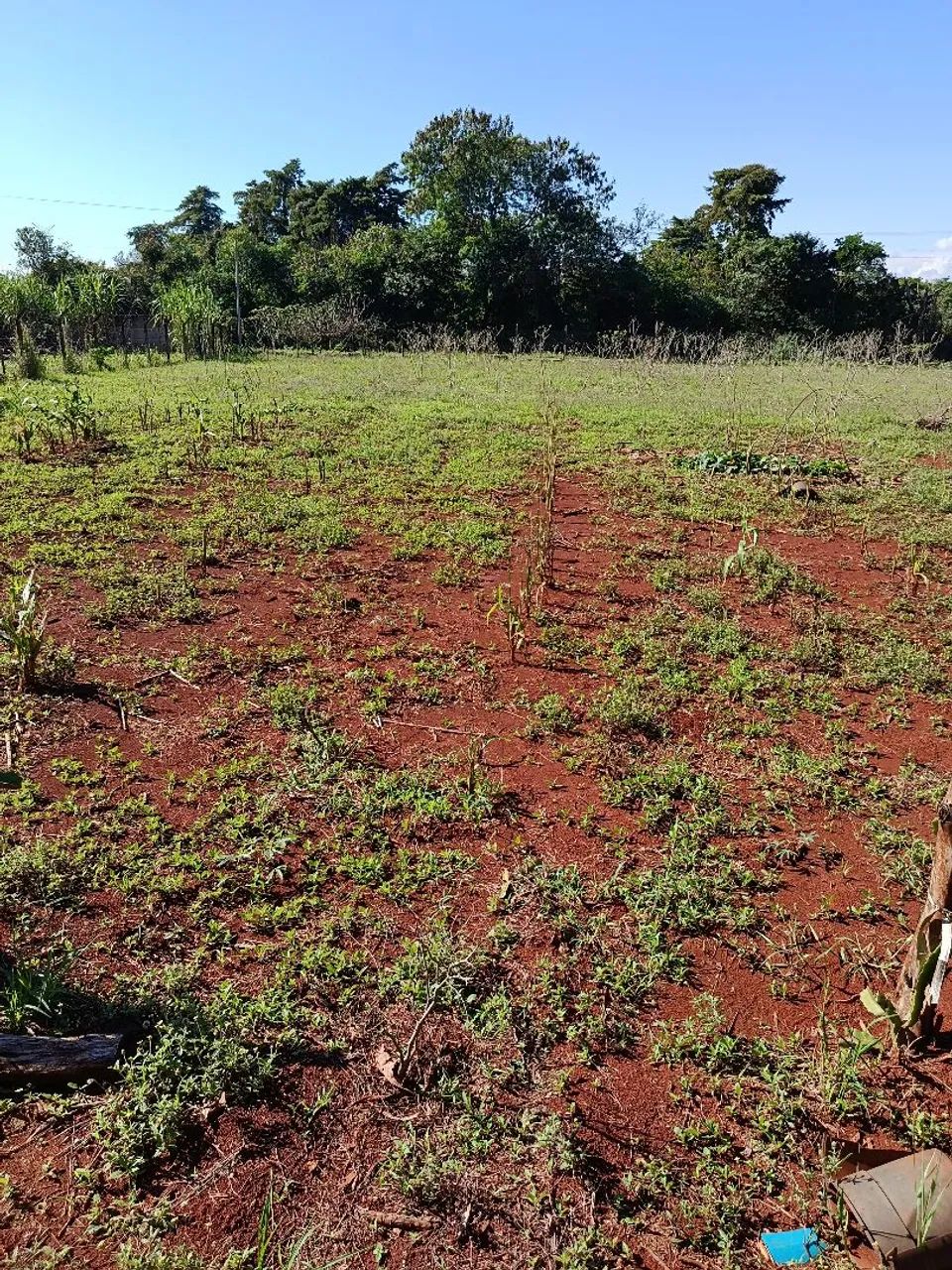 Terreno Rural 2.500 m² para Chácara - Marialva/PR<br> - Foto 5