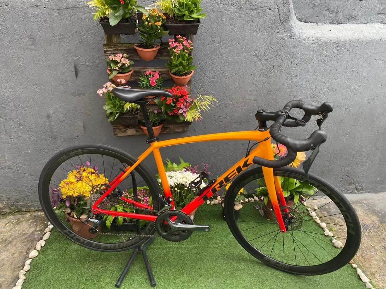 Trek Emonda alr4 