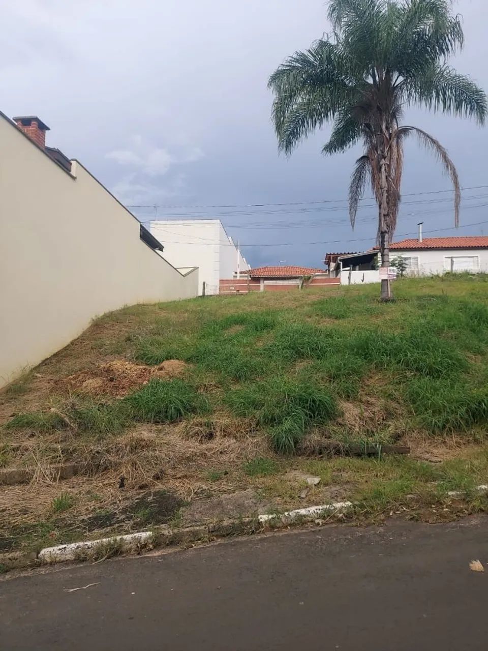 Foto - São Pedro - Vila Nova